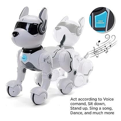 Top Race Remote Control Robot Dog Toy for Kids, Interactive & Smart Dancing to Beat Puppy Robot, Act Like Real Dogs, Gift Toy for Girls & Boys Ages 2,3,4,5,6,7,8,9,10 Years