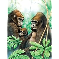 Paint by Numbers - Junior Gorillas, DIY Picture Approx. 33 x 24 cm, Includes 7 Acrylic Paints, Brush and Printed Painting Card, Ideal for Beginners and Children from 8 Years