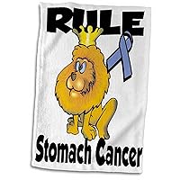 3dRose Rule Stomach Cancer Awareness Ribbon Cause Design - Towels (twl-116125-1)