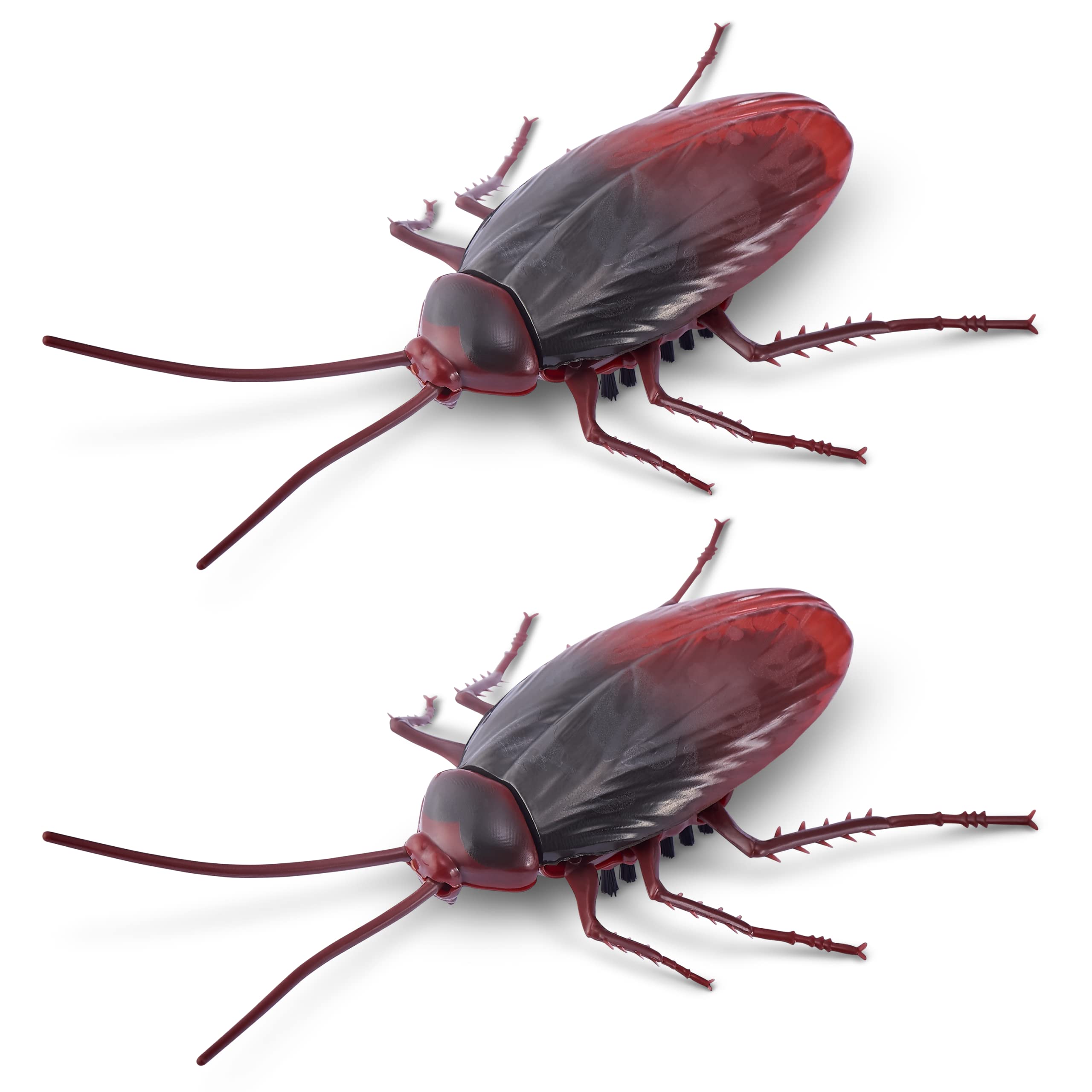 Robo Alive Crawling Cockroach Glow in The Dark (2 Pack) by ZURU Battery-Powered Robotic Interactive Electronic Cockroach Toy That Moves and Crawls, Prankst Toys for Boys, Kids, Teens