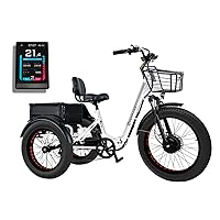 Perraro Panda Electric Trike for Adults - 750W Foldable 3 Wheel Electric Bicycle with 65-Mile Long Range Motorized Tricycle, 450 lbs Load Capacity, Removable 48V Samsung Battery, Large Cargo Basket