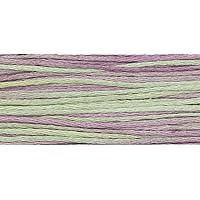Weeks Dye Works Classic Collection Embroidery Floss, 5 yd, Julian