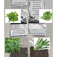 Vietnamese herb Seed Set 4 Types Hat giong rau Kinh gioi Mint Balm Lamiaceae, Hung Lui Mint, Cang cua Crab Claw, NGO GAI Culantro Seeds Bag Individual Pack with Labels DAS