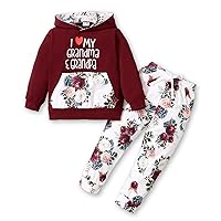 Toddler Girl Clothes Kids Floral Hoodied Pants Toddler Girl Outfis 2PC Set