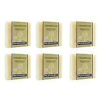 Plantlife Cedarwood 6-Pack Bar Soap - Moisturizing and Soothing Soap for Your Skin - Hand Crafted Using Plant-Based Ingredients - Made in California 4oz Bar