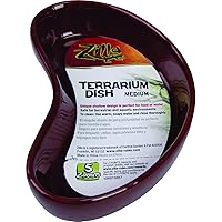 Rzilla Terrarium Dish Medium