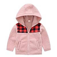 2t Fall Coat Boy Toddler Boys Girls Winter Long Sleeve Fashion Plaid Prints Fleece Thick Warm Hooded (Pink, 3-4 Years)