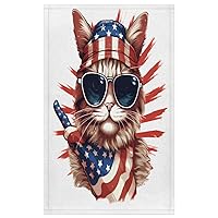 Pardick Kitchen Towels for Home Decor American Cat Glass Dishcloths Sets Ultra Absorbent Quick Drying Dish Towels for Kitchen Hand Towel for Kitchen Bathroom Party Decorations Set of 2