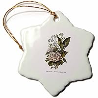 3dRose ORN_149619_1 Vintage Flowers Forget-Me-Not Hawthorn Lily of The Valley Snowflake Ornament, Porcelain, 3-Inch