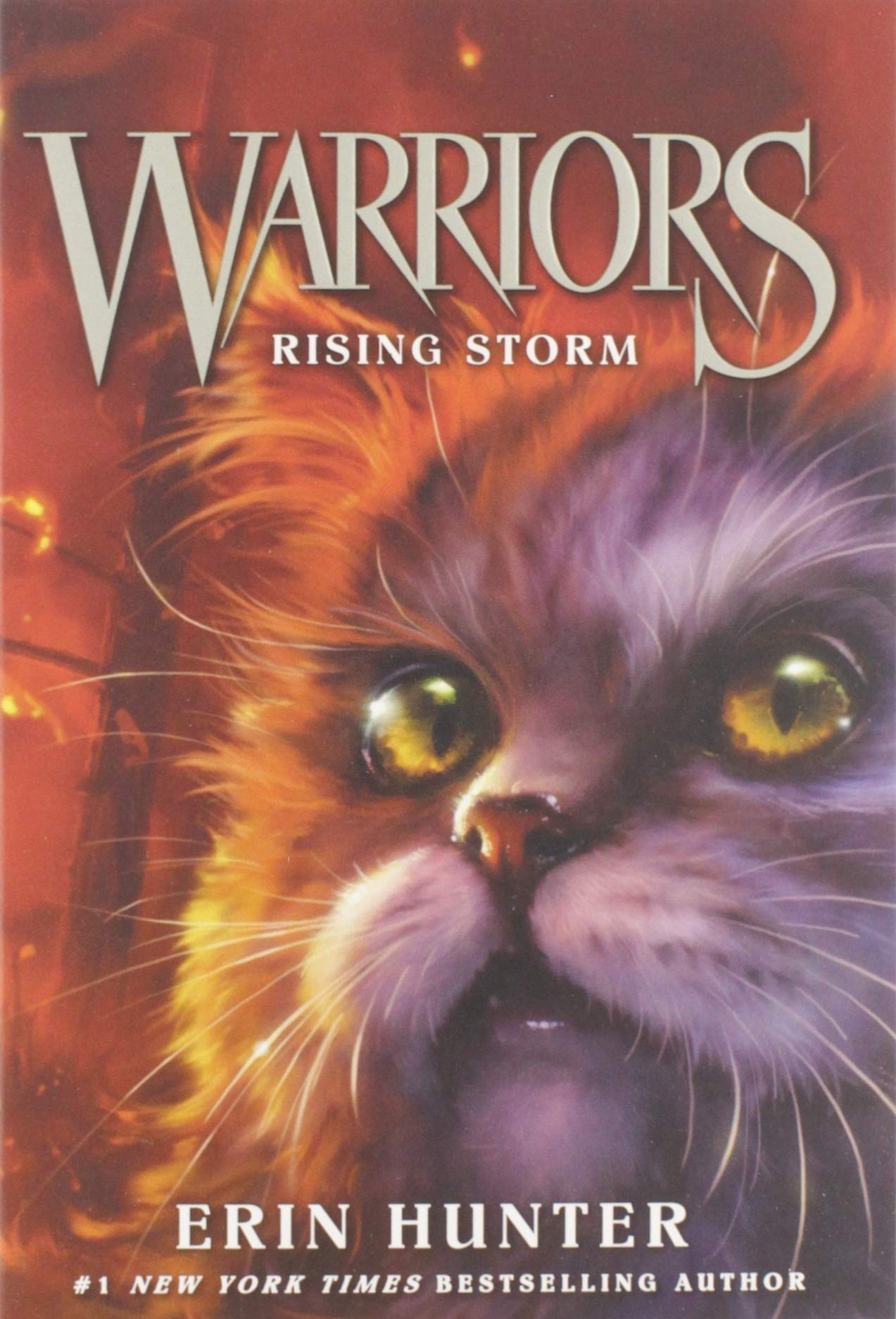 Warriors #4: Rising Storm (Warriors: The Prophecies Begin, 4)