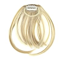 Clip in Bangs Hair Extensions Wispy Bangs Fringe with Temples Hairpieces for Women D1-KQLHP (Blonde)