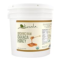 Organic Raw Oaxaca Honey 8 Lbs Pail