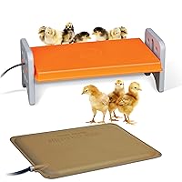 K&H Pet Products Bundle Chick Brooder Warming Kit Thermo Chicken Brooder Large + Thermo-Peep Heated Pad, Perfect Solution for Newly Hatched Chicks