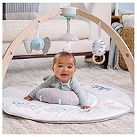 aden + anais Play and Discover Baby Activity Gym – 30+ Developmental Benefits - 3 Attachable Toys + Plush Tummy Time Pillow – 100% Cotton Muslin – Machine Washable