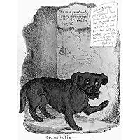 Rabies Cartoon C1890 NHydrophobia A Muzzled Dog Complaining About Rabies Vaccination Developed By Louis Pasteur In 1885 Contemporary English Cartoon Poster Print by (18 x 24)