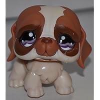 St. Bernard #1118 (Purple Eyes) - Littlest Pet Shop (Retired) Collector Toy - LPS Collectible Replacement Single Figure - Loose (OOP Out of Package & Print)