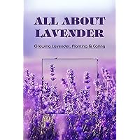 All About Lavender: Growing Lavender, Planting & Caring: Lavender Growing Guide