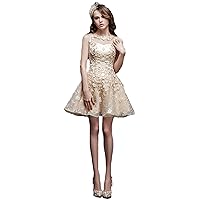 Women's Lovely Short High Neck Homecoming Party Dress