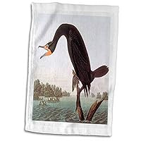 3D Rose Vintage John J Audubon Painting of Cormorant Bird Hand/Sports Towel, 15 x 22