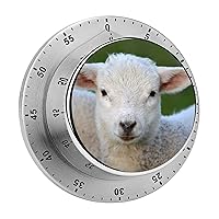 Kitchen Timer Cute Sheep Classroom Timer Stainless Steel Countdown Timer with Magnetic Backing