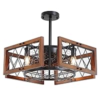 Caged Ceiling Fan with Lights Remote Control, 20