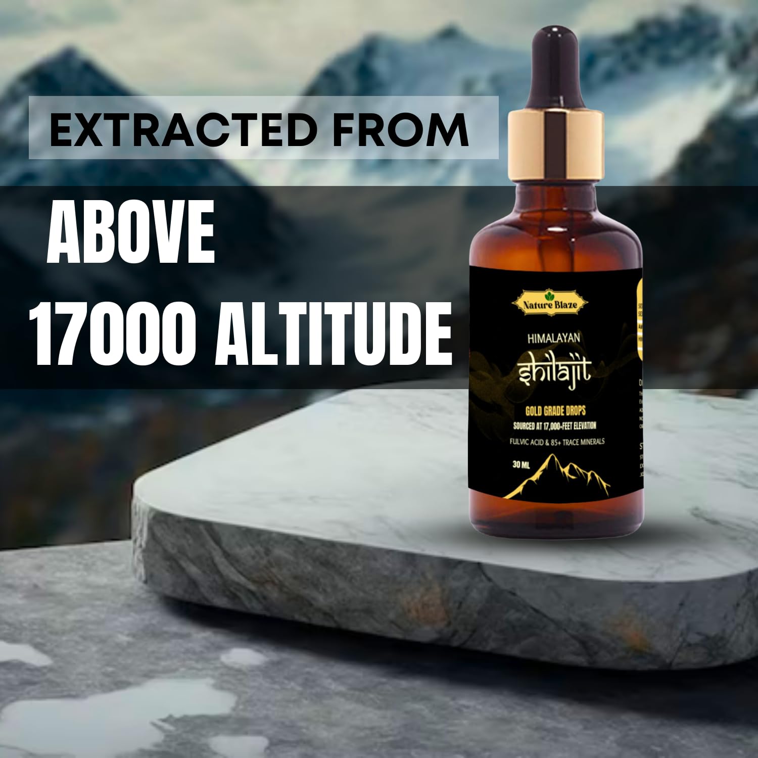 Nature Blaze Pure Himalayan Shilajit Drops (1.0 Oz / 30Ml)