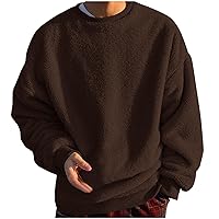 Men Fuzzy Sherpa Sweatshirt Long Sleeve Fluffy Crewneck Pullover Cozy Basic Fleece Tops Oversized Fall Winter Warm Sweater
