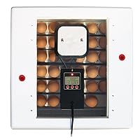 Farm Innovators 41 Egg Incubator with Automatic Egg Turning and Humidity Control, Egg Candler with Digital LCD Display for Improved Hatching, White