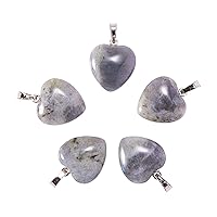 LiQunSweet 10 Pcs Natural Genuine Labradorite Crystals Healing Stone Pendants with Heart Shape Chakra Charms Bulk for Jewelry Making DIY Crafts - 23x20x9mm