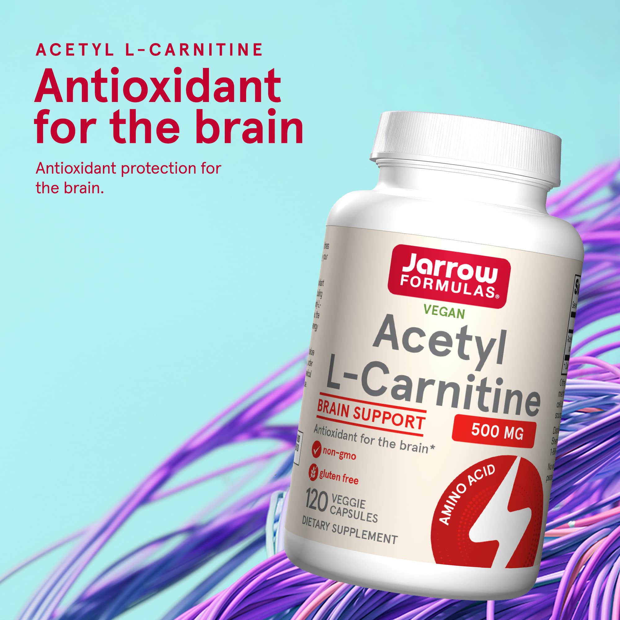 Jarrow Formulas Acetyl L-Carnitine 500 mg - Antioxidant Protection for the Brain - Supports Energy Production & Metabolism - Heart & Cardiovascular Health - 120 Veggie Capsules (PACKAGING MAY VARY)