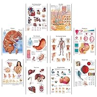 10PCS HIV & AIDS Cancer Science Posters for Walls Medical Nursing Students Educational Human Eye Colon Disease Poster Chart Medicine Disease Map for Doctor Enthusiasts Kid's Enlightenment Education W