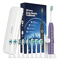 Electric Toothbrush for Adults with 8 Brush Heads, Sonic Toothbrush Rechargeable with a Holder & Travel Case, 2.5 Hours Charge for 120 Days Use - Purple