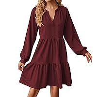Women's Summer Dresses Womens Solid V Neck Long Sleeve Dress Casual Tunic Short Ladies Causal(Wine,Large)