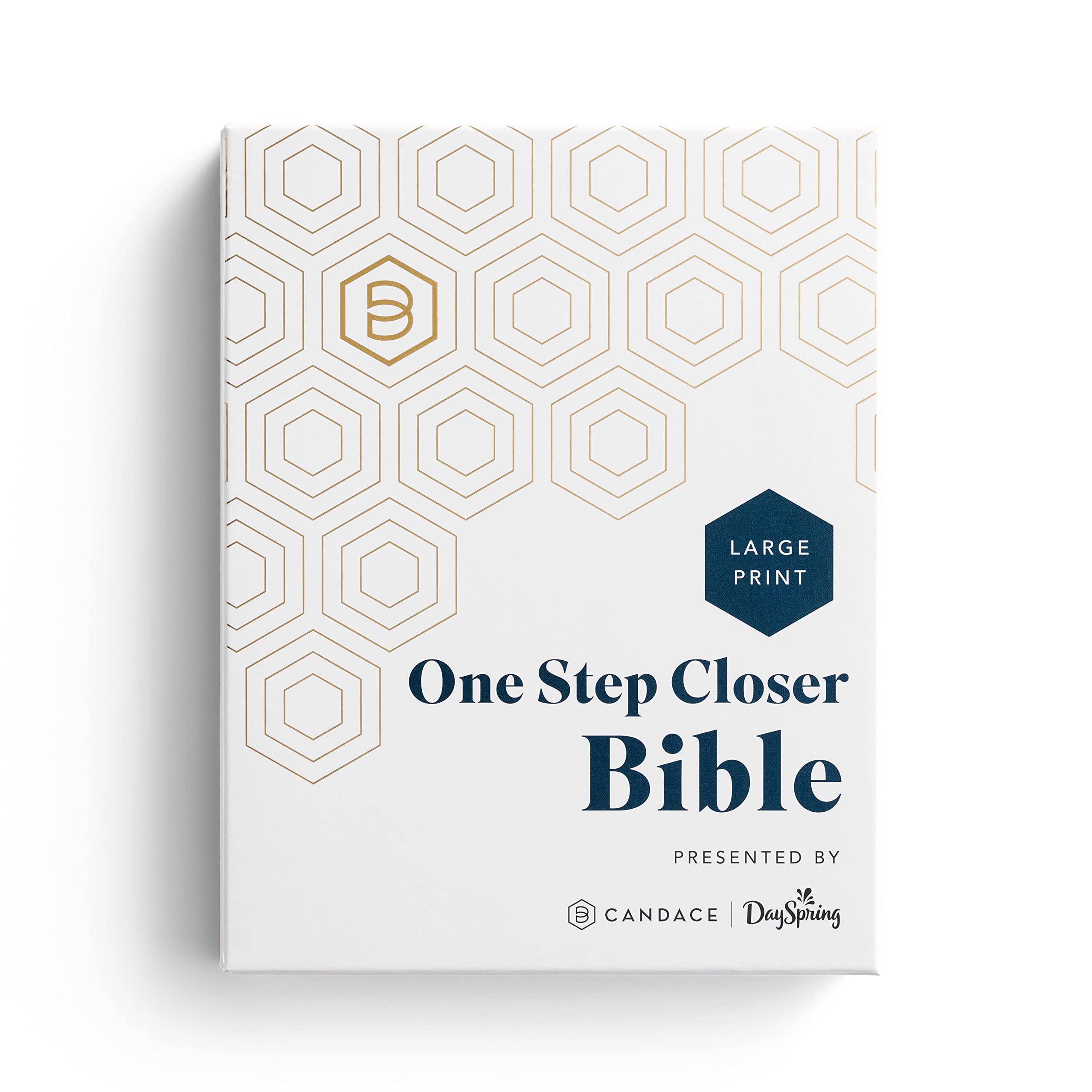 One Step Closer Bible: Large Print Edition - Tan, NLT