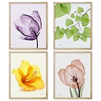 Colorful Flowers Wall Decor,Purple Tulip - Set of 4 Abstract Flowers Prints Wall Art Modern Pictures Artwork for Living Room Bedroom and Home Decorations (8x10 - UNFRAMED)
