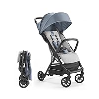 Inglesina Quid Stroller, Stormy Gray - Compact, Airplane Travel Stroller for Babies & Toddlers 3 Months to 50 lbs - Lightweight - One-Handed Open - BPA Free