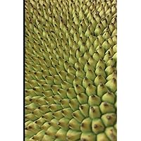 Jackfruit tree: Plain lined journal book for vegan lovers of this miracle fruit plant based meat alternative