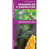 Dragonflies & Damselflies: A Folding Pocket Guide to Familiar, Widespread North American Species (Wildlife and Nature Identification) Dragonflies & Damselflies: A Folding Pocket Guide to Familiar, Widespread North American Species (Wildlife and Nature Identification) Pamphlet
