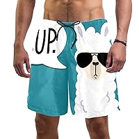 Llama Black Sunglass SUP Quick Dry Swim Trunks Men's Swimwear Bathing Suit Mesh Lining Board Shorts with Pocket, L
