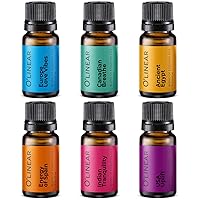 Scent of Adventure Essential Oils Set 6 Aromatherapy Diffuser Blends for Home Office Humidifier Car Fresheners Premium Grade Relaxation Scented Oil Diffuser Refill Essentials Pack Christmas Gift Set