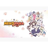 Nekopara: Season 1