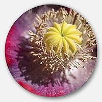 Colorful Opium Poppy Photo-Flowers Round Metal Wall Art-Disc of 23, 23'' H x 23'' W x 1'' D 1P, Red