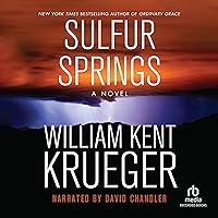 Sulfur Springs Sulfur Springs Audible Audiobook Kindle Paperback Hardcover Audio CD