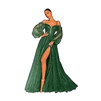 Tulle Prom Dresses 2024 - Split Long Puffy Sleeve Cold Shoulder Prom Dress