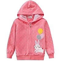 Girls Zip-Up Hoodie Sweatshirts Toddler Heart Jacket Winter Long Sleeve Hooded Shirts Pollover Tops Fall Outwear 2-6T
