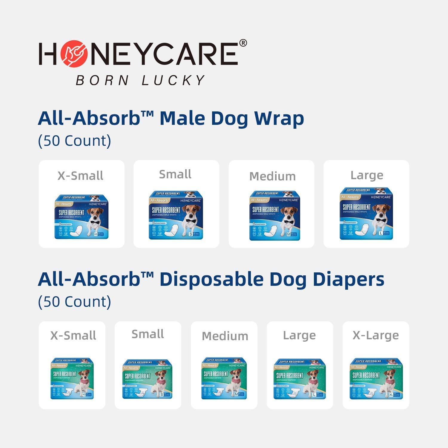 HONEY CARE All-Absorb Puppy Training Pads | Doggie Potty Pads Absorb Eliminating Urine Odor, Ultra Charcoal Dog Pee Pad (Carbon, L 22x23 inch, 100ct)