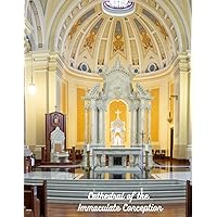 Cathedral of the Immaculate Conception Cathedral of the Immaculate Conception Paperback Hardcover
