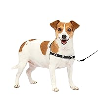 PetSafe Easy Walk No-Pull Dog Harness - The Ultimate Harness to Help Stop Pulling - Take Control & Teach Better Leash Manners - Helps Prevent Pets Pulling on Walks - Small, Black/Silver