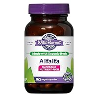Non-GMO Alfalfa Capsules Organic Herbal Supplements, 90 Count