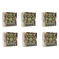 Plantlife Cocoa Mint 6-Pack Bar Soap - Moisturizing and Soothing Soap for Your Skin - Hand Crafted Using Plant-Based Ingredients - Made in California 4oz Bar